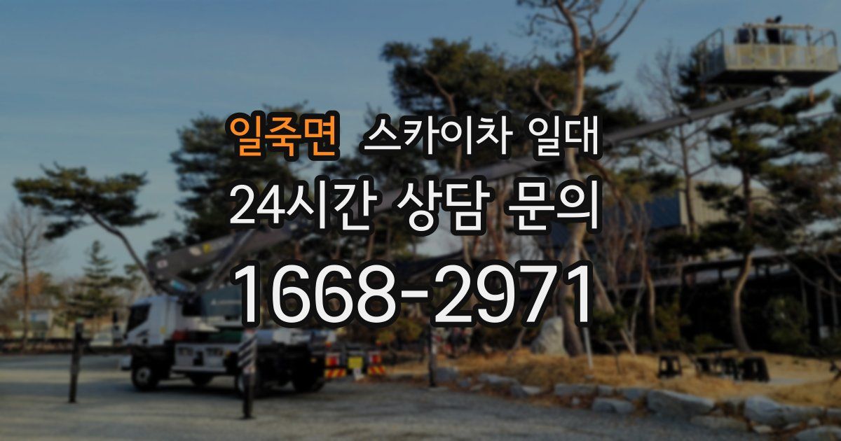 일죽면 스카이차 일대