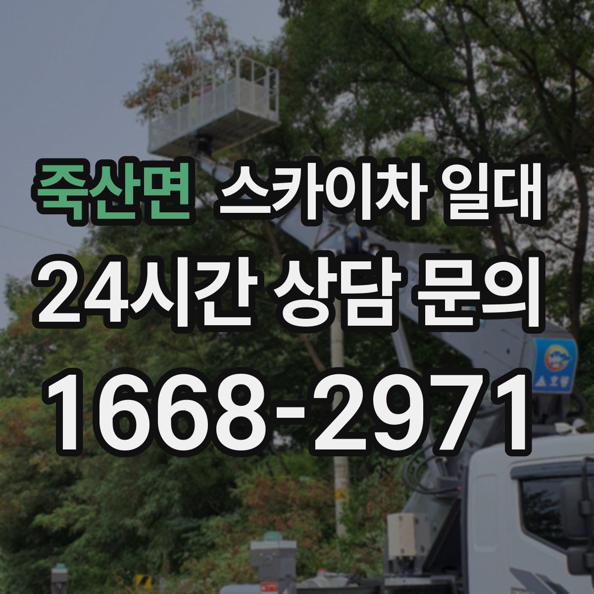 죽산면 스카이차 일대