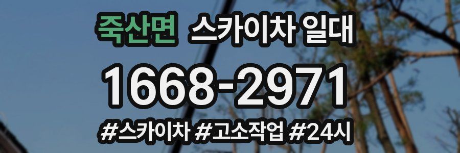 죽산면 스카이차 일대