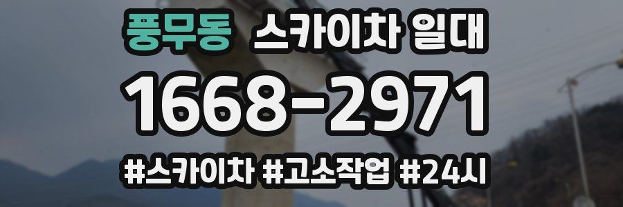 풍무동 스카이차 일대
