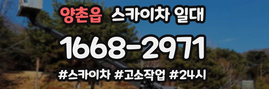 양촌읍 스카이차 일대