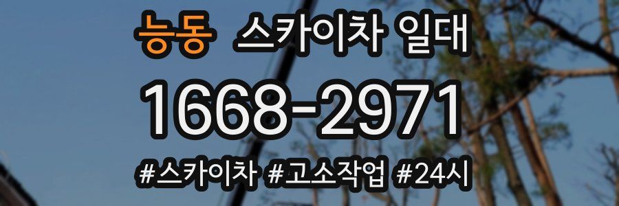 능동 스카이차 일대