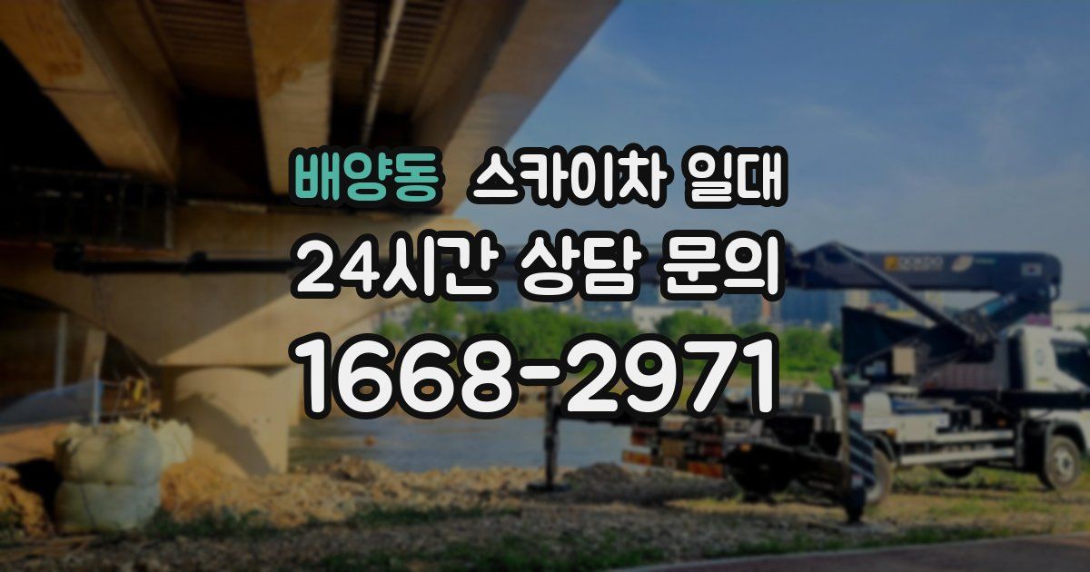 배양동 스카이차 일대