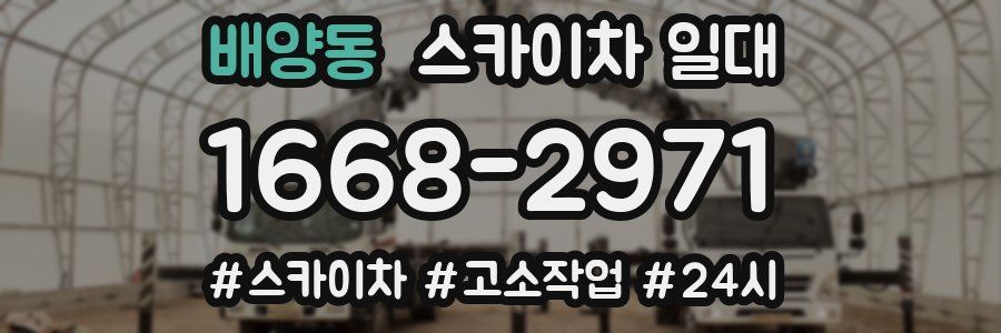 배양동 스카이차 일대