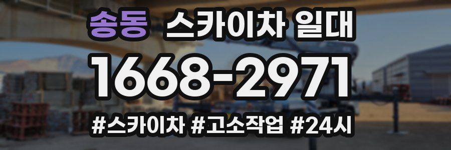 송동 스카이차 일대