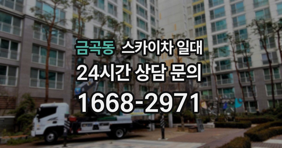 금곡동 스카이차 일대