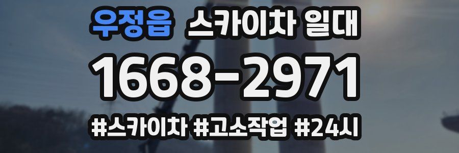 우정읍 스카이차 일대