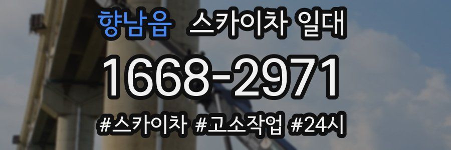 향남읍 스카이차 일대