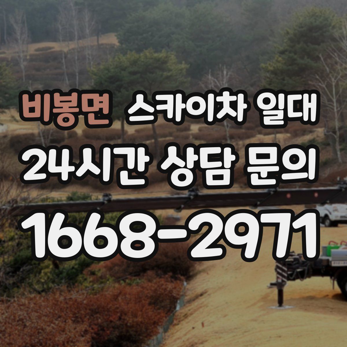 비봉면 스카이차 일대