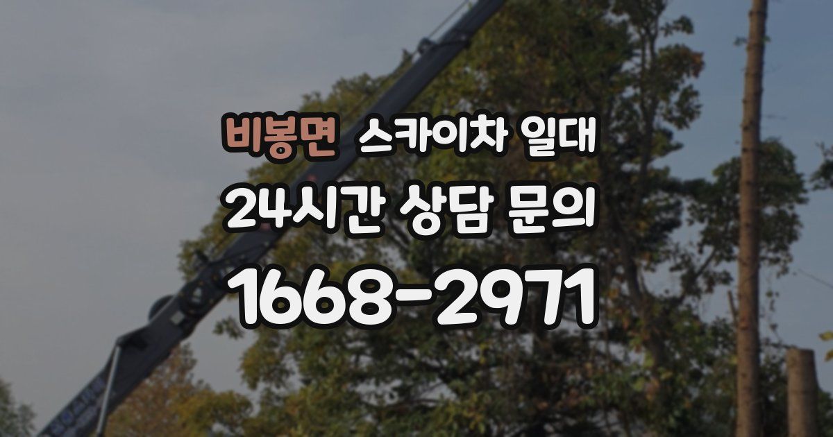 비봉면 스카이차 일대