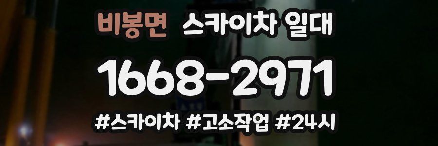 비봉면 스카이차 일대