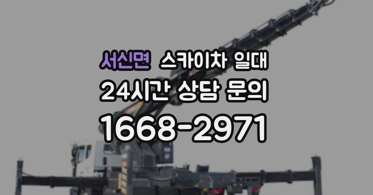 서신면 스카이차 일대