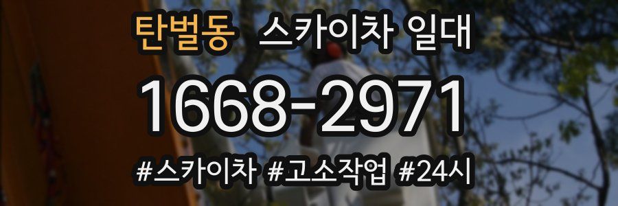 탄벌동 스카이차 일대