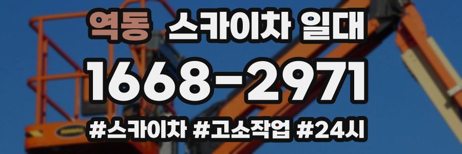역동 스카이차 일대