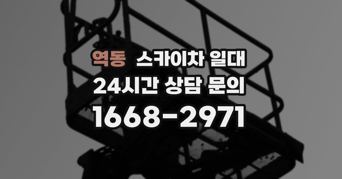 역동 스카이차 일대