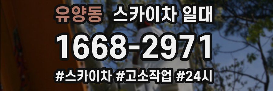 유양동 스카이차 일대
