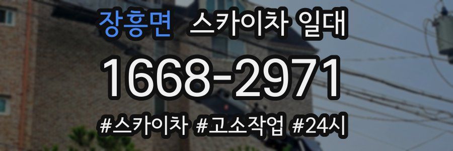 장흥면 스카이차 일대