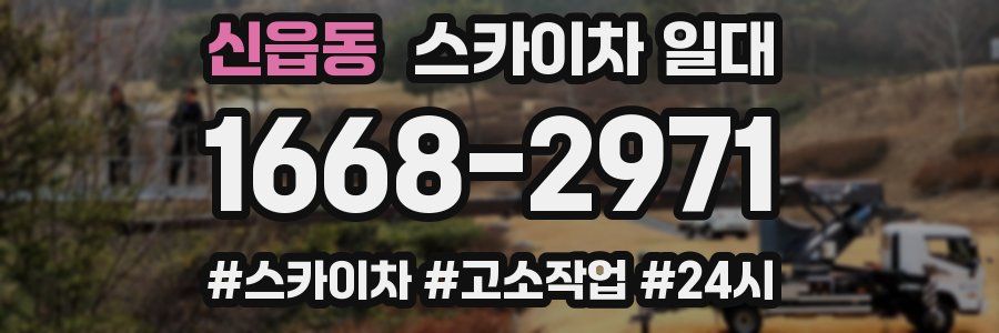 신읍동 스카이차 일대