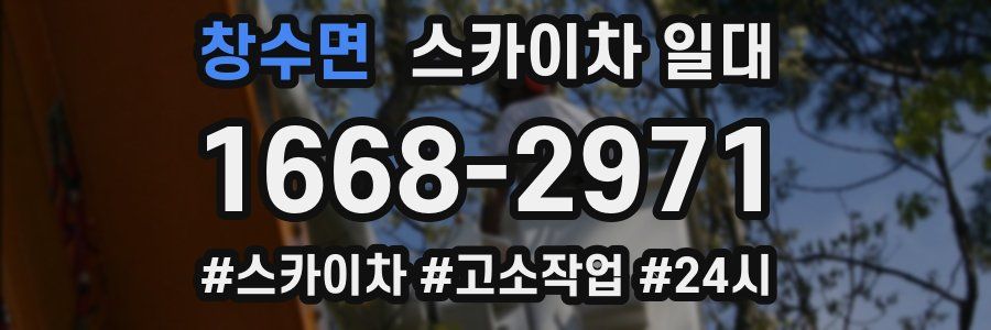 창수면 스카이차 일대