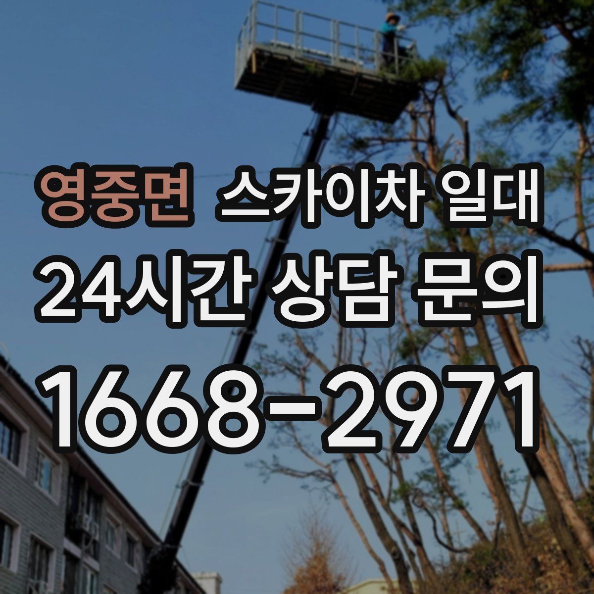 영중면 스카이차 일대