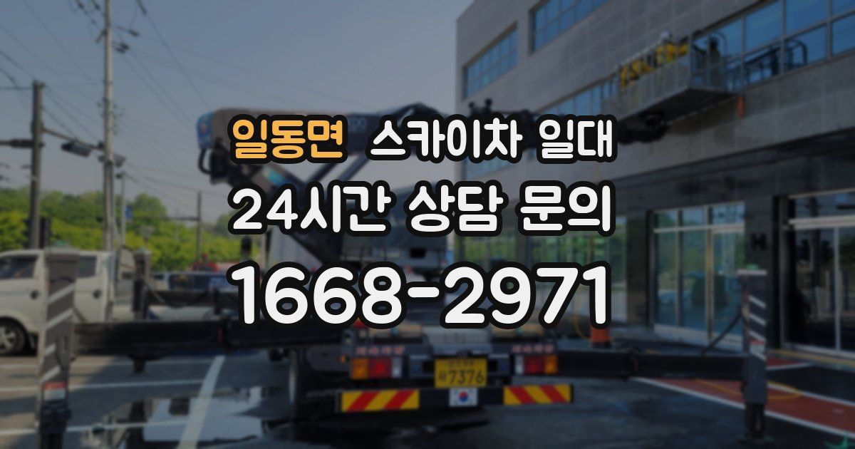 일동면 스카이차 일대