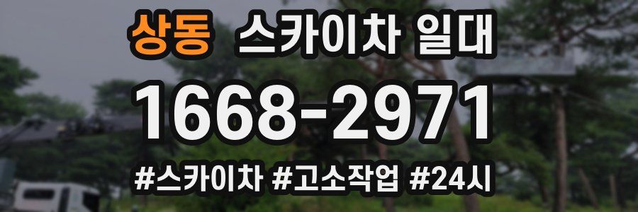 상동 스카이차 일대