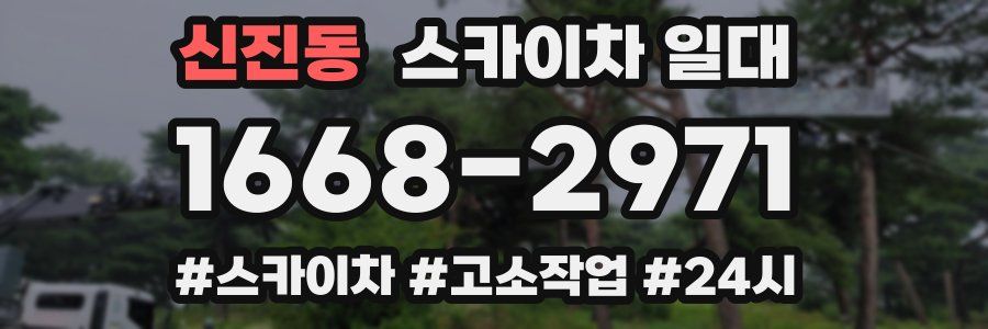 신진동 스카이차 일대
