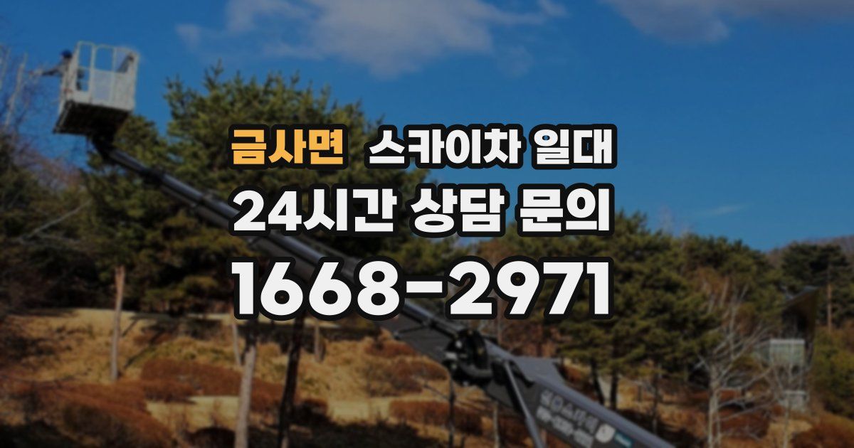 금사면 스카이차 일대