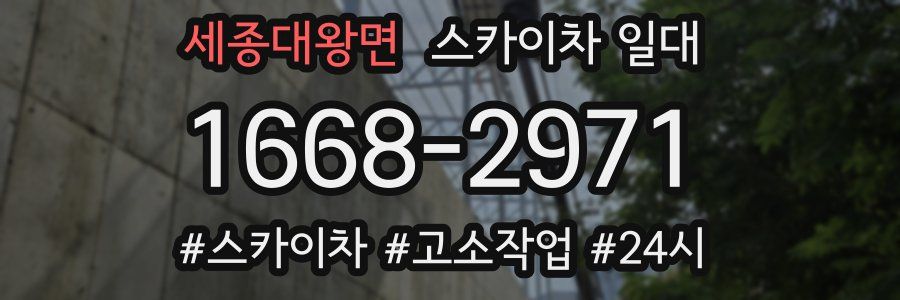 세종대왕면 스카이차 일대