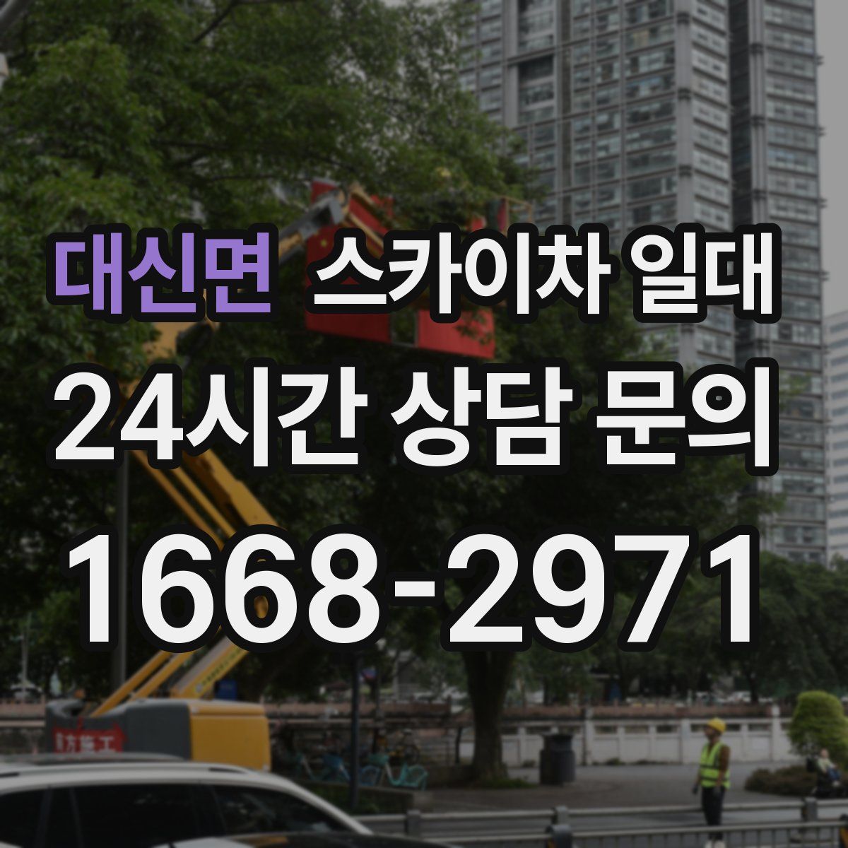 대신면 스카이차 일대