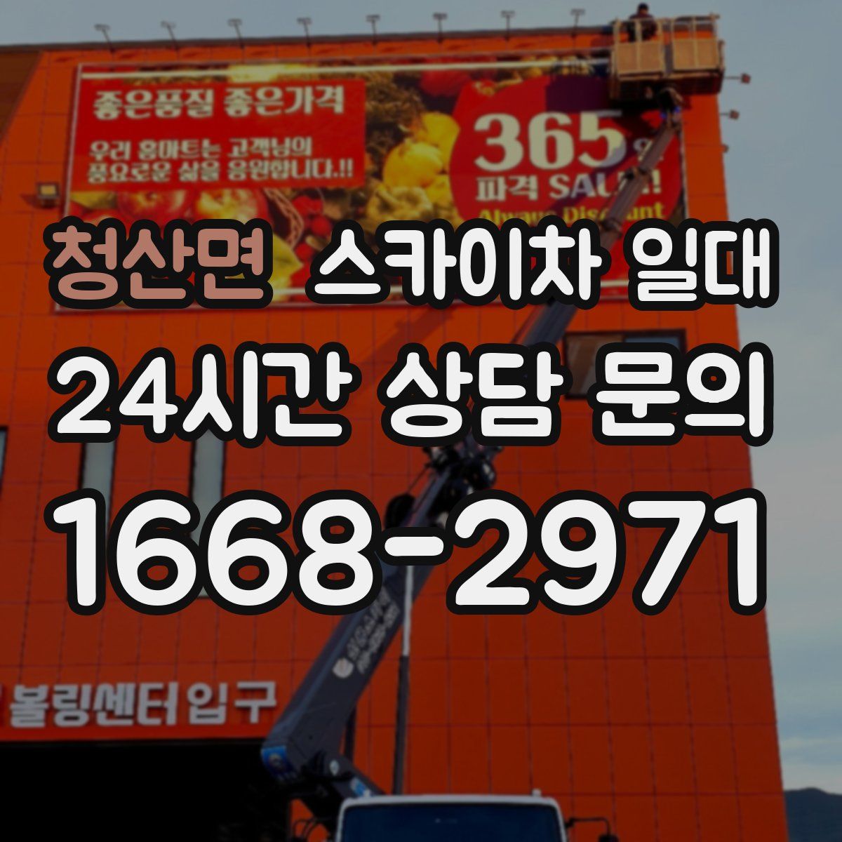 청산면 스카이차 일대