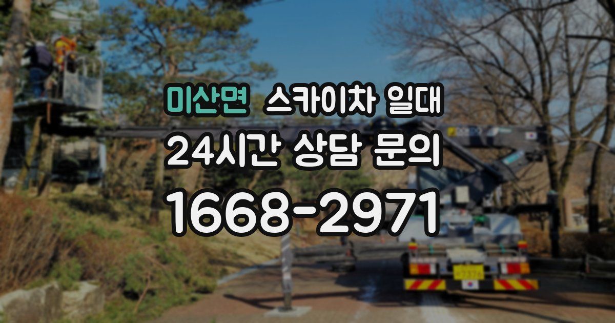 미산면 스카이차 일대