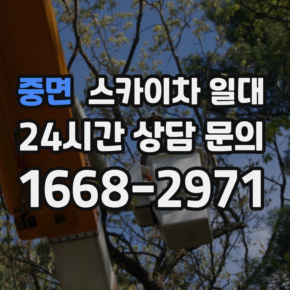 중면 스카이차 일대