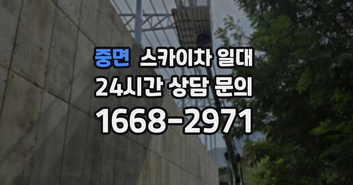 중면 스카이차 일대