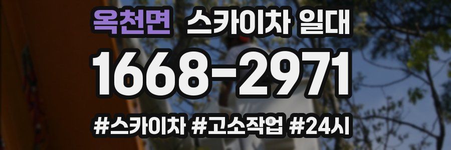 옥천면 스카이차 일대