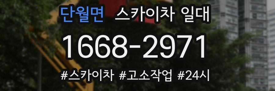단월면 스카이차 일대