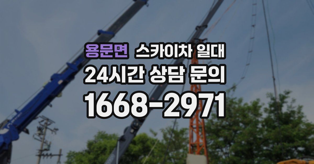 용문면 스카이차 일대