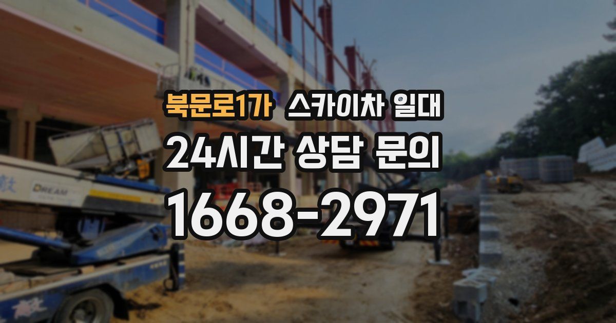 북문로1가 스카이차 일대