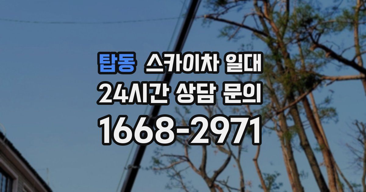 탑동 스카이차 일대