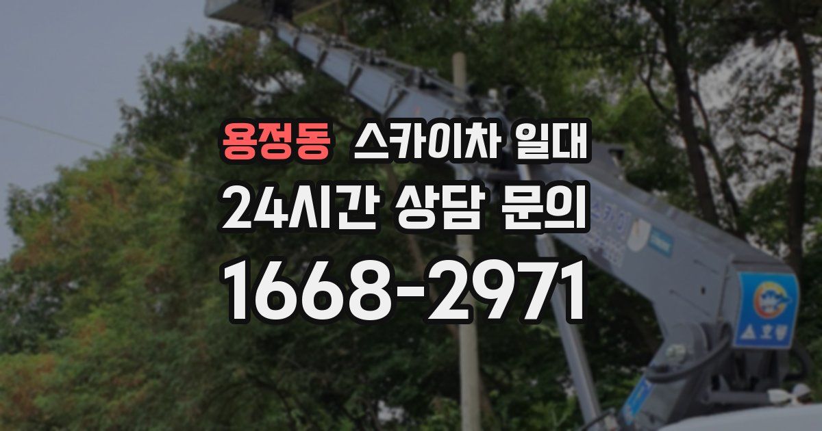 용정동 스카이차 일대