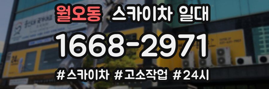 월오동 스카이차 일대