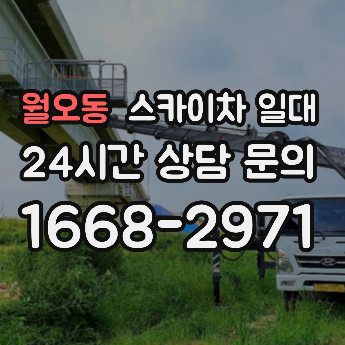 월오동 스카이차 일대