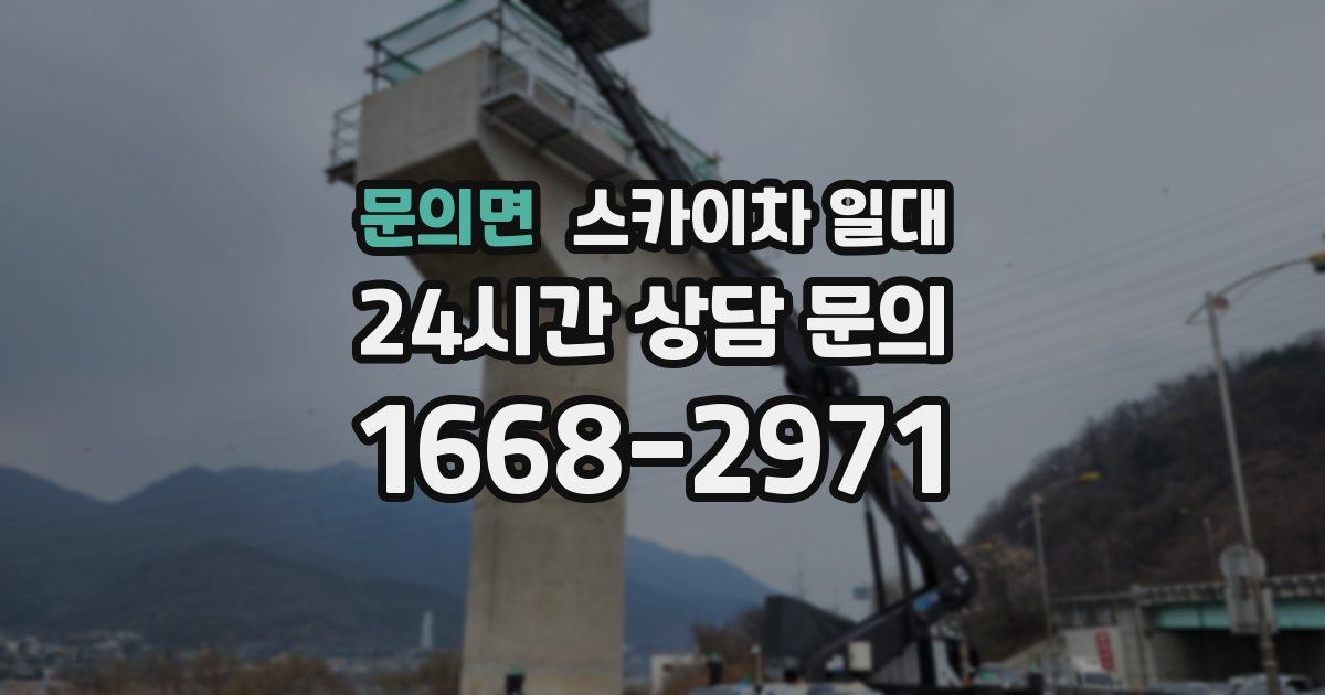 문의면 스카이차 일대