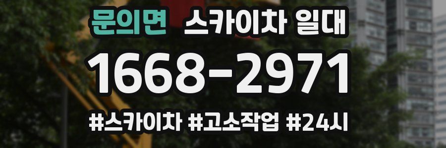 문의면 스카이차 일대