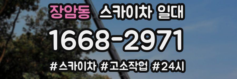 장암동 스카이차 일대