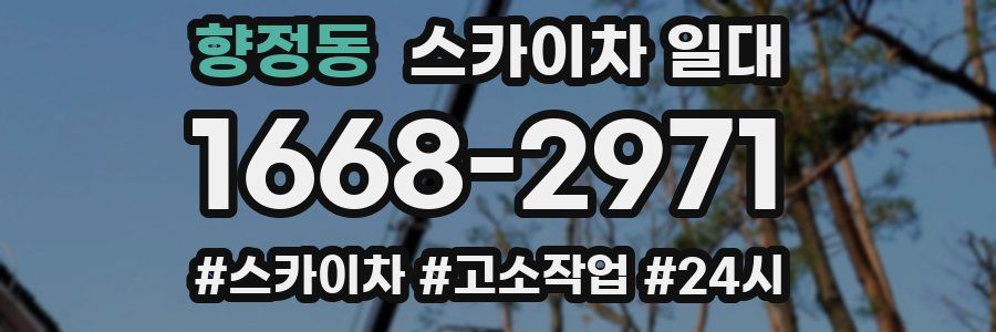 향정동 스카이차 일대