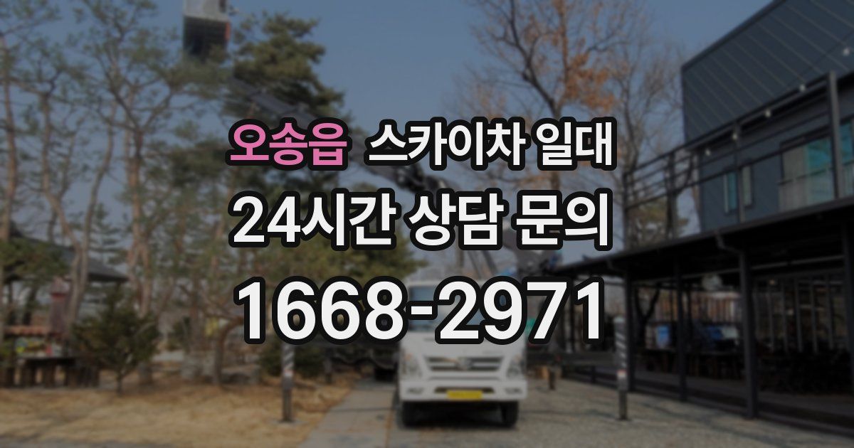 오송읍 스카이차 일대
