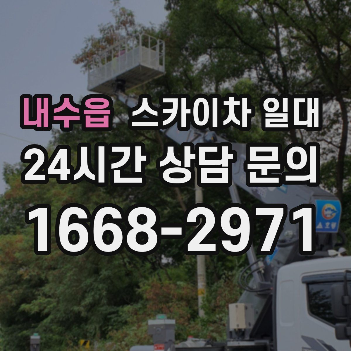 내수읍 스카이차 일대