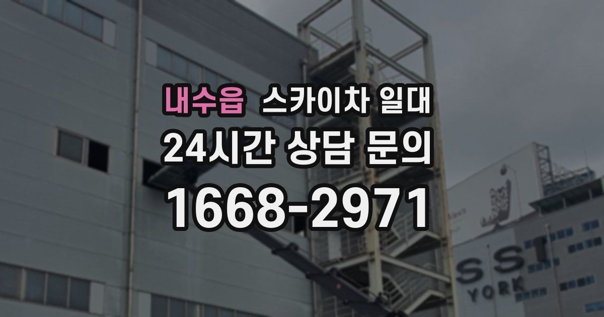 내수읍 스카이차 일대