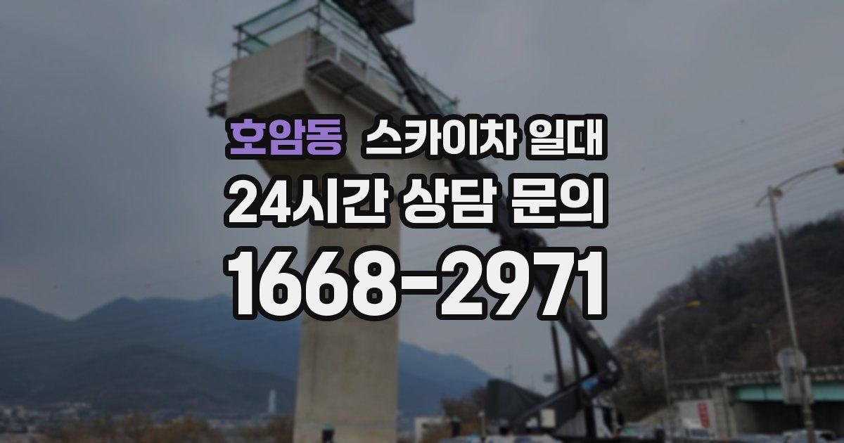 호암동 스카이차 일대